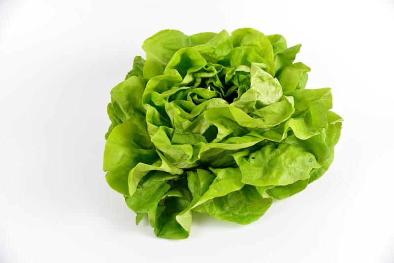 Benefits Of Eating Green Vegetables Diet Beginner